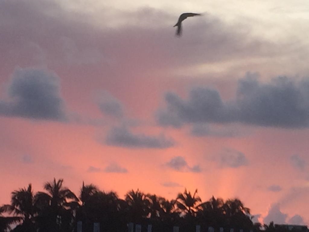 ATARDECER.VOLAR.jpeg