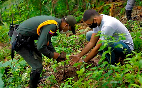 REFORESTACION.PROVIDENCIA01.jpg