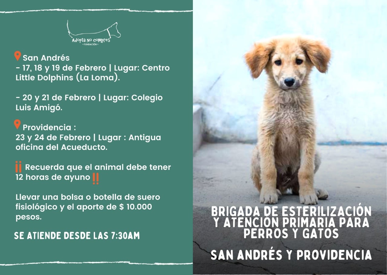 brigada.esterilizacion01.jpg