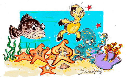 peces.dibujo.editorial.jpg