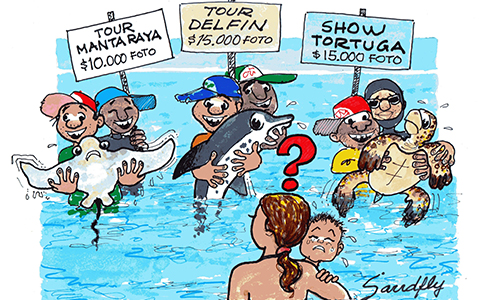 A.TOUR.MANTARAYA