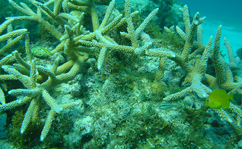 submarinas01.jpg